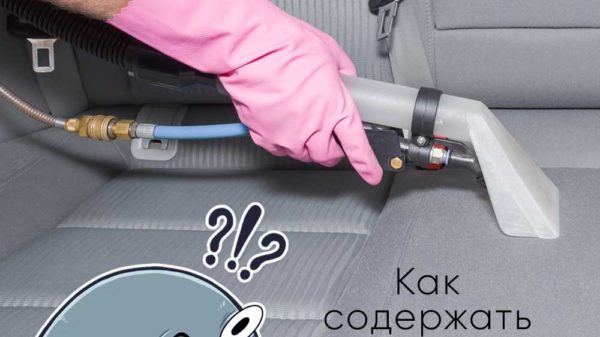 Как поддерживать чистоту в автомобиле полезные советы