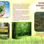 Экологическое влияние перевода: распространение зеленых идей